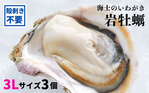香川県産牡蠣殻(簡易洗浄/天日干し) 水質浄化 新品未使用 30kg 殻剥き不要】いわがき春香 殻なし巨大3Lサイズ×3個（1,2kg～1,4kg）父