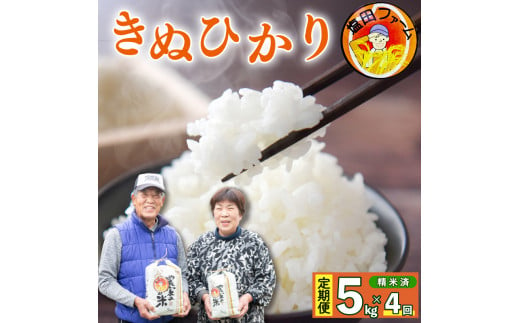 定期便 4回 きぬひかり 5kg 令和6年産 米 こめ ご飯 ごはん おにぎり 白米 精米 卵かけご飯 食品 備蓄 備蓄米 保存 防災 ギフト 贈答  プレゼント お取り寄せ グルメ 送料無料 徳島県 阿波市 塩田ファーム - 徳島県阿波市｜ふるさとチョイス - ふるさと納税サイト