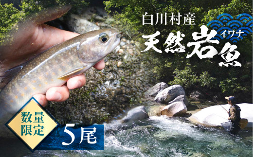 ふるさと納税 新潟県 魚沼市 [No.5762-0469]清流の川魚セット12尾入（ヤマメ・イワナ・ニジマス・アユ） 清流の川魚 セット 12尾入(ヤマメ・イワナ・ニジマス・アユ)魚12尾
