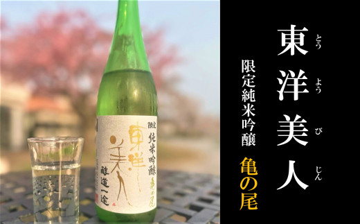 東洋美人 限定純米吟醸 醇道一途 亀の尾【田布施地域交流館】A-33