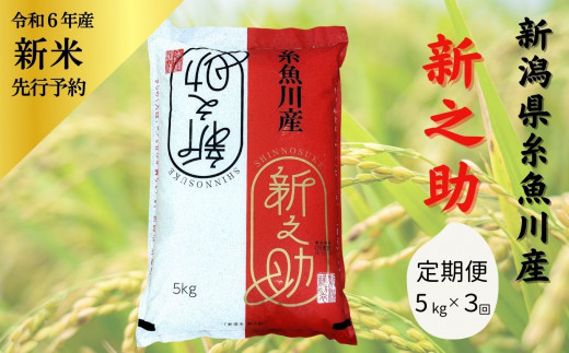 令和6年産新米予約【定期便】新之助 5kg×3ヶ月 計15kg 新潟県糸魚川産 2024年 しんのすけ 白米 JA 11月上旬出荷予定【米 お米 ご飯  ライス ふるさと納税米 食品 人気 おすすめ ギフト 新潟県の新しいブランド米 産地直送 5キロ お弁当 おにぎり 先行予約 精米 3回 3か月 ...