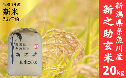 令和6年産新米予約『新之助』玄米20kg 新潟県糸魚川産 2024年