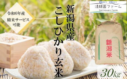 【令和6年産新米予約】米 新潟県産コシヒカリ 玄米30kg 農家直送 2024年産 清流早川が育てたうまい米 精米・小分けサービス 清耕園ファーム  【糸魚川 こしひかり おこめ ご飯 ライス ふるさと納税米 30キロ】 - 新潟県糸魚川市｜ふるさとチョイス - ふるさと ...