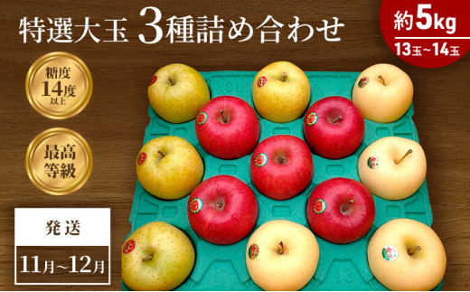 11～12月発送 最高等級「特選大玉」3種詰め合わせ 約5kg（サンふじ・金星・王林）糖度14度以上【弘前市産・青森りんご】 - 青森県弘前市｜ふるさとチョイス  - ふるさと納税サイト