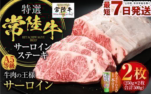 【茨城県守谷市】【特選】常陸牛(ひたちぎゅう) A5等級 サーロインステーキ 2枚(250g×2) 計500g(茨城県共通返礼品 茨城県産)