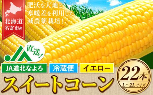 2026年出荷】北海道 名寄産 スイートコーン イエロー L～2Lサイズ 22本