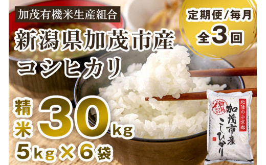 令和6年産新米】【定期便3回毎月お届け】新潟県加茂市産コシヒカリ 精米30kg（5kg×6） 白米 加茂有機米生産組合 - 新潟県加茂市｜ふるさとチョイス  - ふるさと納税サイト