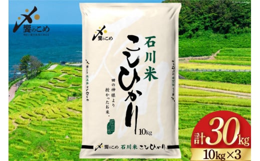 期間限定発送】 米 令和6年 石川県産 石川米こしひかり【穂立】30kg（10kg ×3袋）[中橋商事 饗のこめ (あえのこめ) 石川県 宝達志水町  38600957] コシヒカリ お米 コメ 白米 精米 おこめ こめ 30キロ ごはん ご飯 国産 - 石川県宝達志水町｜ふるさとチョイス -  ふるさと ...