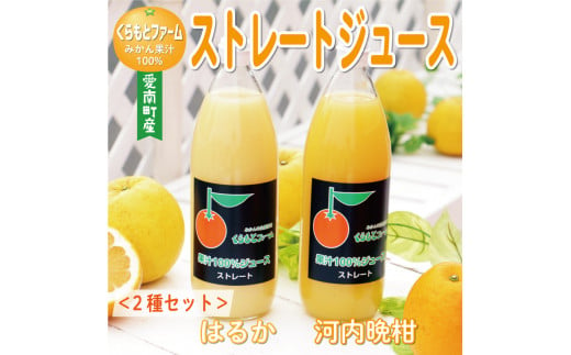 みかん 果汁 100% ストレート ジュース 2本 セット （ 1000ml × 2本 ） はるか 河内晩柑 愛南ゴールド 7000円 数量限定  期間限定 高級 贈答 ギフト プレゼント 母の日 敬老の日 父の日 おやつ 国産 フルーツ 果物 柑橘 産地直送 農家直送