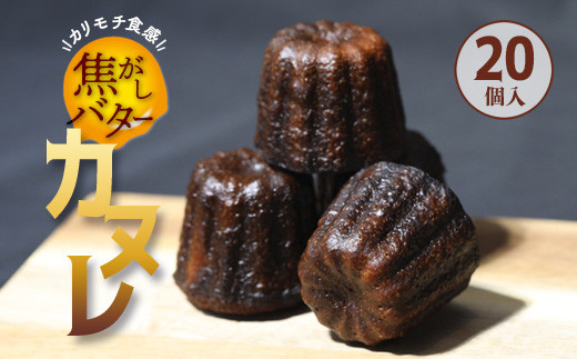 ys{szło^[ Jk 20 v1700g y ʂ  Ⓚ  lC XC[c mَq Ăَq v[g Mtg    s z