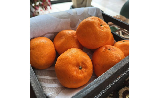 ya̎RxczI n |J 2kgms\nmMS48n