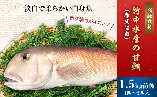 【愛媛県八幡浜市】竹中水産の「甘鯛(赤又は白)1.5キロ前後」<H22-261>_ 鯛 タイ たい 甘鯛 鮮魚 天然 魚介 魚介類 海鮮 冷蔵 活き 愛媛 八幡浜 産直 産地直送 国産 高級魚 グルメ 【1075513】