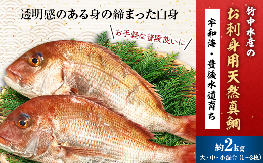 【愛媛県八幡浜市】竹中水産の「お刺身用天然真鯛」約2キロセット!(大、中、小混:1〜3枚)<D22-263>【1075515】