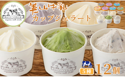 京都・美山町 美山牛乳カップジェラート アソート12個セット[髙島屋選定品］017N744 - 京都府南丹市｜ふるさとチョイス - ふるさと納税サイト