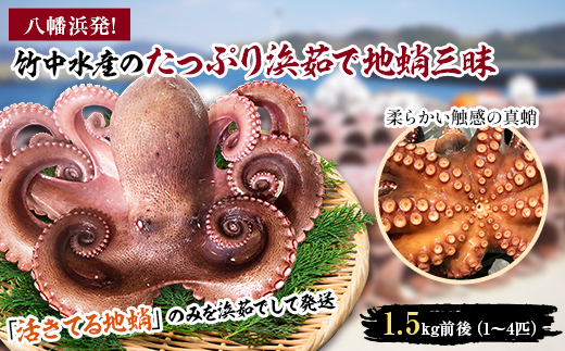 ふるさと納税 八幡浜市 竹中水産の八幡浜発!「匠の干物三昧セット3kg前後以上(約20枚)」 ふるさと納税竹中水産の八幡浜発!「匠の干物三昧セット3kg前後以上