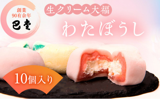 y쌧sz[4631-2513]b̂킽ڂi啟@10j