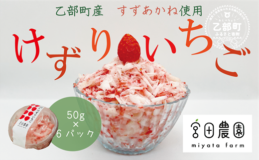 いちご様まとめ売り　専用 いちご様まとめ売り 専用（いちご様まとめ売り 専用 （いちご