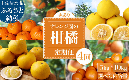 令和8年発送 訳あり】 オレンジ園の柑橘4種（ぽんかん・文旦