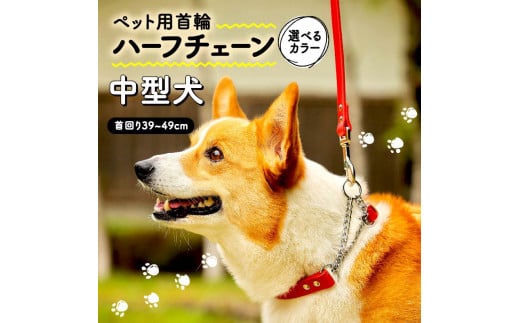 犬 用 トップ の 首 輪