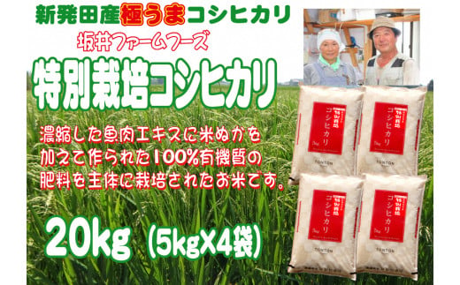 令和5年産 新潟県産 坂井ファーム 特別栽培米コシヒカリ 20kg （5kg×4袋） 【 新潟 新発田 米 玄米 こしひかり 5kg 20kg D84  】 - 新潟県新発田市｜ふるさとチョイス - ふるさと納税サイト