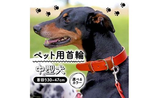 ペット用首輪 中型犬用 Lサイズ レッド 首回り34-42cm ペット 犬 愛犬