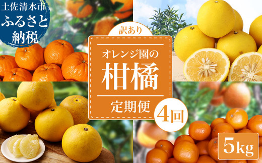 令和8年発送 訳あり】 オレンジ園の柑橘4種（ぽんかん・文旦