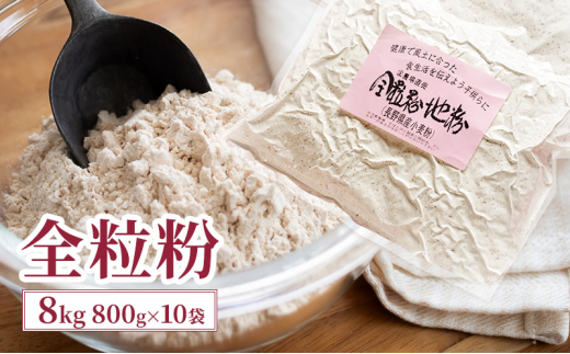 y쌧cszS 8kg (800g×10) Y MBY e   َq p pX^  n H@ r^~ ~l N NHi MB  쌧 cs [5312-1046]