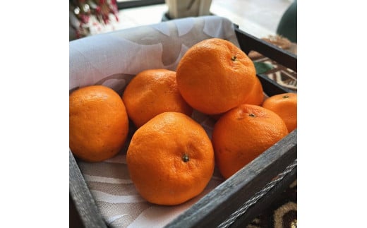 ya̎RCszI n |J 3kgms\nmMS49n