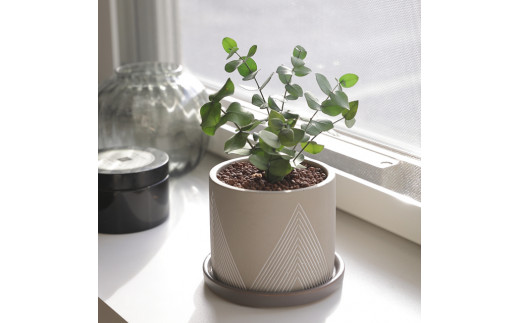 yszvU[uht[ O[[uX([J)