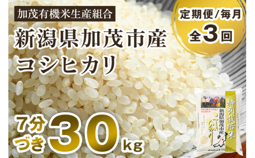 冬鳥越スキーガーデンをにぎわいの拠点にしたい！【園芸王子と市民による花いっぱいプロジェクト】｜ふるさと納税のガバメントクラウドファンディングは「ふるさとチョイス」