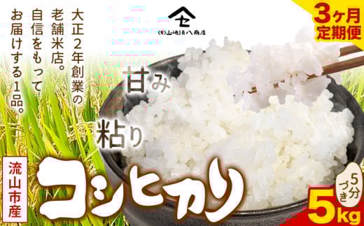 ytRszy3zRVqJ  5kgs\݌̗o׊Jnt  Vkn 5Â P t Rs    ͂ st-p