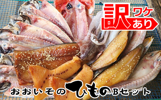 【神奈川県大磯町】おおいその干物Bセット/ 季節によって多少内容が変わる訳あり品 【 ひもの 魚 天日干し 神奈川県 大磯 湘南 特産品 】