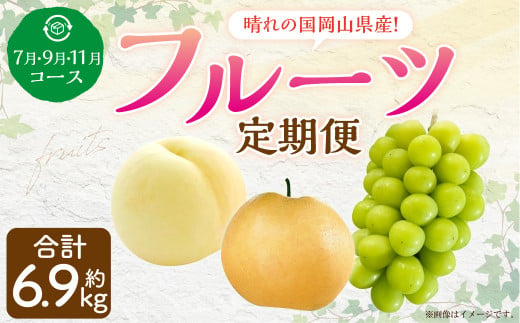 岡山県産 シャインマスカット 晴王＆ニューピオーネ 約500g×各1房 計1kg（2房） 【2024年8月下旬～10月上旬迄発送予定】 岡山 大粒  たねなし マスカット 果物 くだもの フルーツ ぶどう ブドウ 葡萄 人気 - 岡山県奈義町｜ふるさとチョイス - ふるさと納税サイト