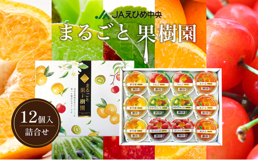 NO.12まるごと果樹園詰合せ[№5303-0251] - 愛媛県東温市｜ふるさと