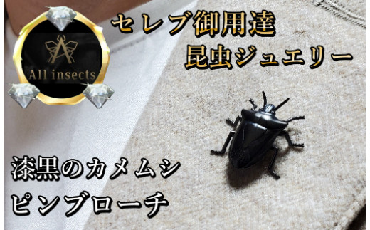 カメムシピンブローチ ブラックカラー All insects 【セレブ御用達