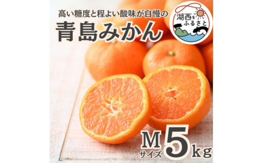 yÉΐszst2026N1{菇oח\聄݂5kg MTCYkؔ_ly1510104z