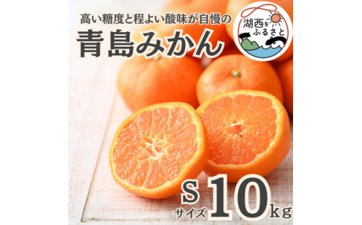 yÉΐszst2026N1{菇oח\聄݂10kg STCYkؔ_ly1510123z