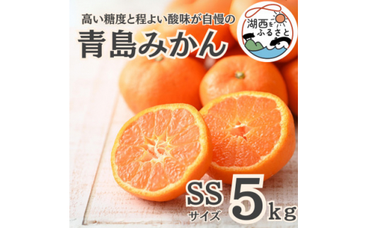 yÉΐszst2026N1{菇oח\聄݂5kg SSTCYkؔ_ly1510107z