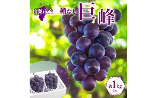 yRRszq2026Ns\rZȖ킢!uRRsY̋ 2[ 1kgvy1513024z