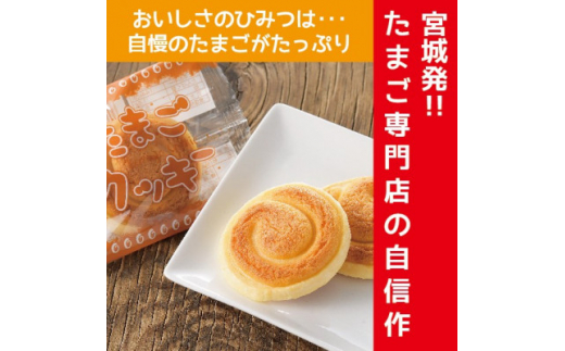 y{錧cz܂NbL[ 8×2y1511225z