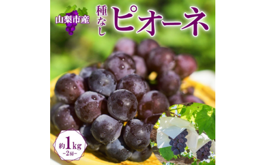 yRRszq2026Ns\rÂ݂Ǝ_̃oX▭!uRRsY [ sI[l 2[ 1kgvy1513021z