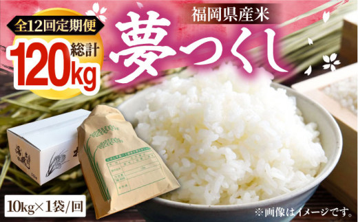 yLOszyR7NYVāzyS12ցzY  10kg×1܁sLOstyz_z   [VBC007]