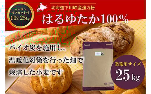 ykC쒬zkC쒬Y͕͂䂽100% 25kg oCIY{p J[{EItZbgt Ɩp F4G-0219