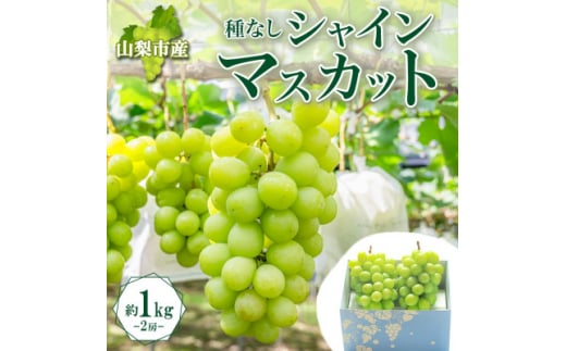 yRRszq2026Ns\r[ŐH׉_!uRRsY VC}XJbg 2[ 1kgvy1513030z