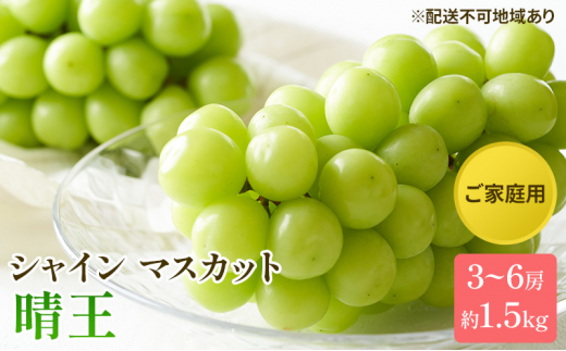 【岡山県玉野市】ぶどう 2025年 先行予約 ご家庭用 シャイン マスカット 晴王 3〜6房 約1.5kg ブドウ 葡萄  岡山県産 国産 フルーツ 果物
