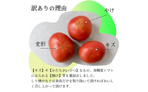 12月下旬～5月頃発送】＜訳あり フルーツトマト 原田農園 約1.8kg 箱入＞ 桃太郎 家庭用 ワケあり 変形 キズあり 高知県 佐川町  ＜当期分は毎年4月上旬頃まで申込受付＞ - 高知県佐川町｜ふるさとチョイス - ふるさと納税サイト