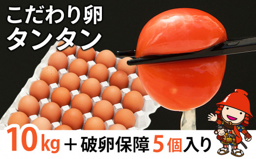 こだわり卵タンタン (10kg＋破卵保障5個入り) | たまご タマゴ 玉子 生
