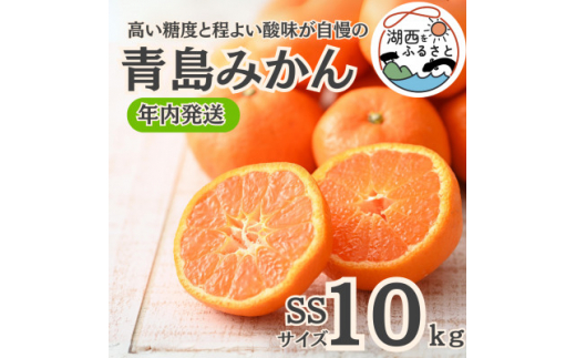 みかんさま専用ページ みかん様専用ページ