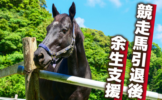 競走馬 支援 100万円 コース 黒潮友馬会応援 1000000円 特典 ポスト