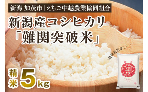 令和5年産米】新潟産コシヒカリ なんかん育ち「難関突破米」精米5kg 白米 特別栽培米 受験 合格祈願 縁起物 願掛け 厳選米 えちご中越農業協同組合  - 新潟県加茂市｜ふるさとチョイス - ふるさと納税サイト